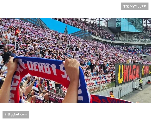 鲁尔区矿工之殇：沙尔克04确定降级，球迷不离不守望来年